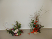 dsc06636.jpg