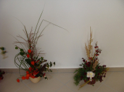 dsc06637.jpg