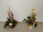 dsc06638.jpg