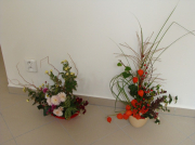 dsc06639.jpg